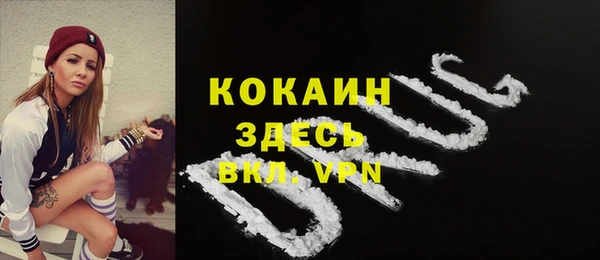 тгк Алексин