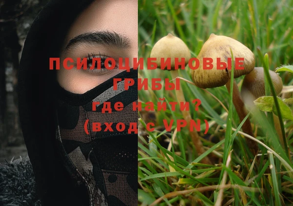 дмт Абаза