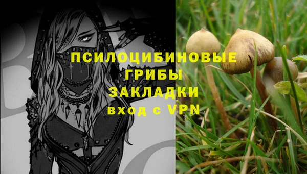 тгк Алексин