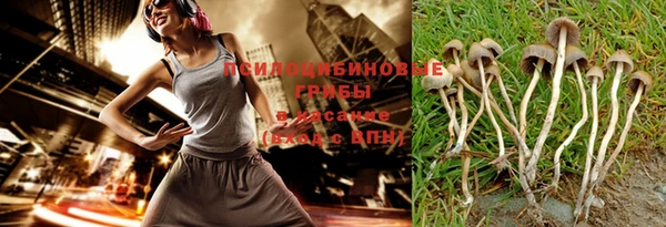 гидра Заволжск