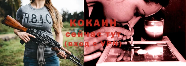 дмт Абаза