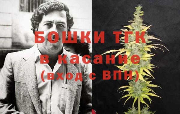 тгк Алексин