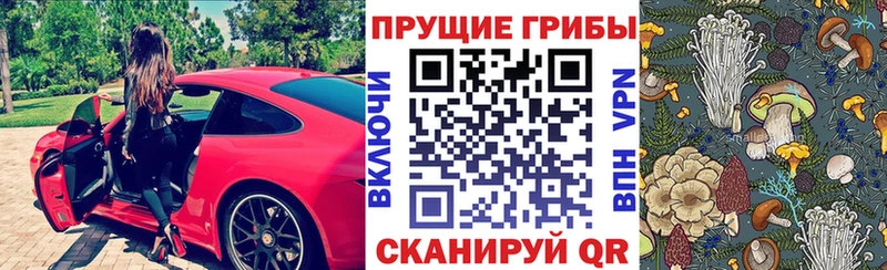 Псилоцибиновые грибы Cubensis  Тимашёвск 